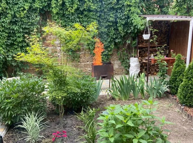 на фонтане Odessa